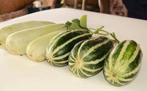 网红吃长瓜,趣味横生引网友热议  第3张